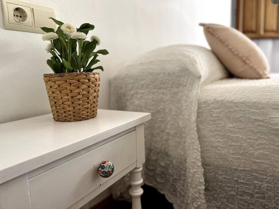 Appartement Muy Centrico En